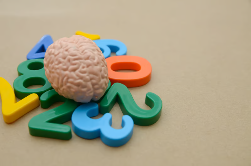 brain development